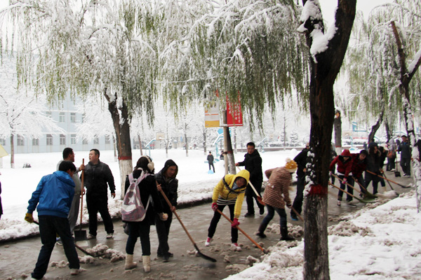 新2网址会员手机登陆学生积极开展义务劳动清扫积雪