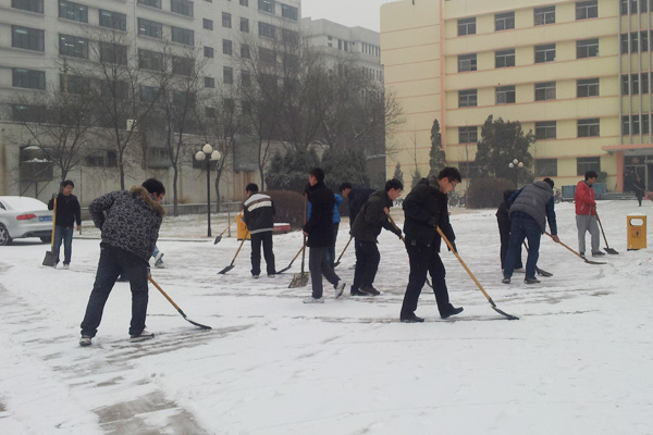 第二党总支组织学生进行扫雪活动