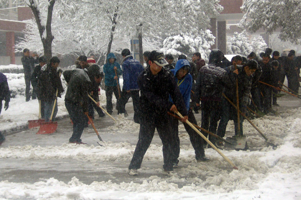 新2网址会员手机登陆学生积极开展义务劳动清扫积雪