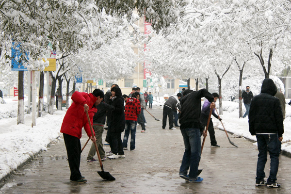 新2网址会员手机登陆学生积极开展义务劳动清扫积雪