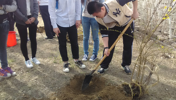 新2网址会员手机登陆第三学生党总支开展“为城市添绿，做先锋党员”主题党日活动